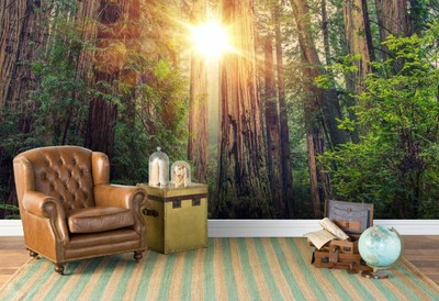 3D Forest Avenue Self-adhesive Removable Wallpaper Murals Wall Sticker FC