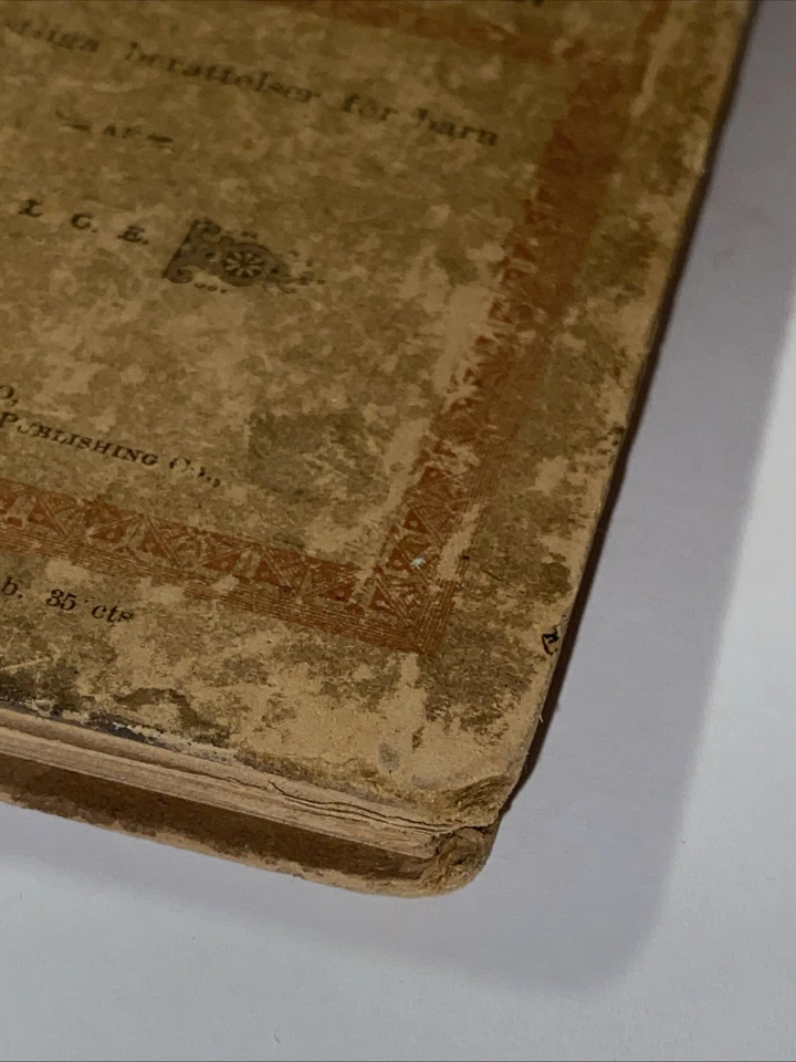 1893 GULDPERLER Norwegian American Children's Christian Stories Chicago RARE - Image 2 of 4