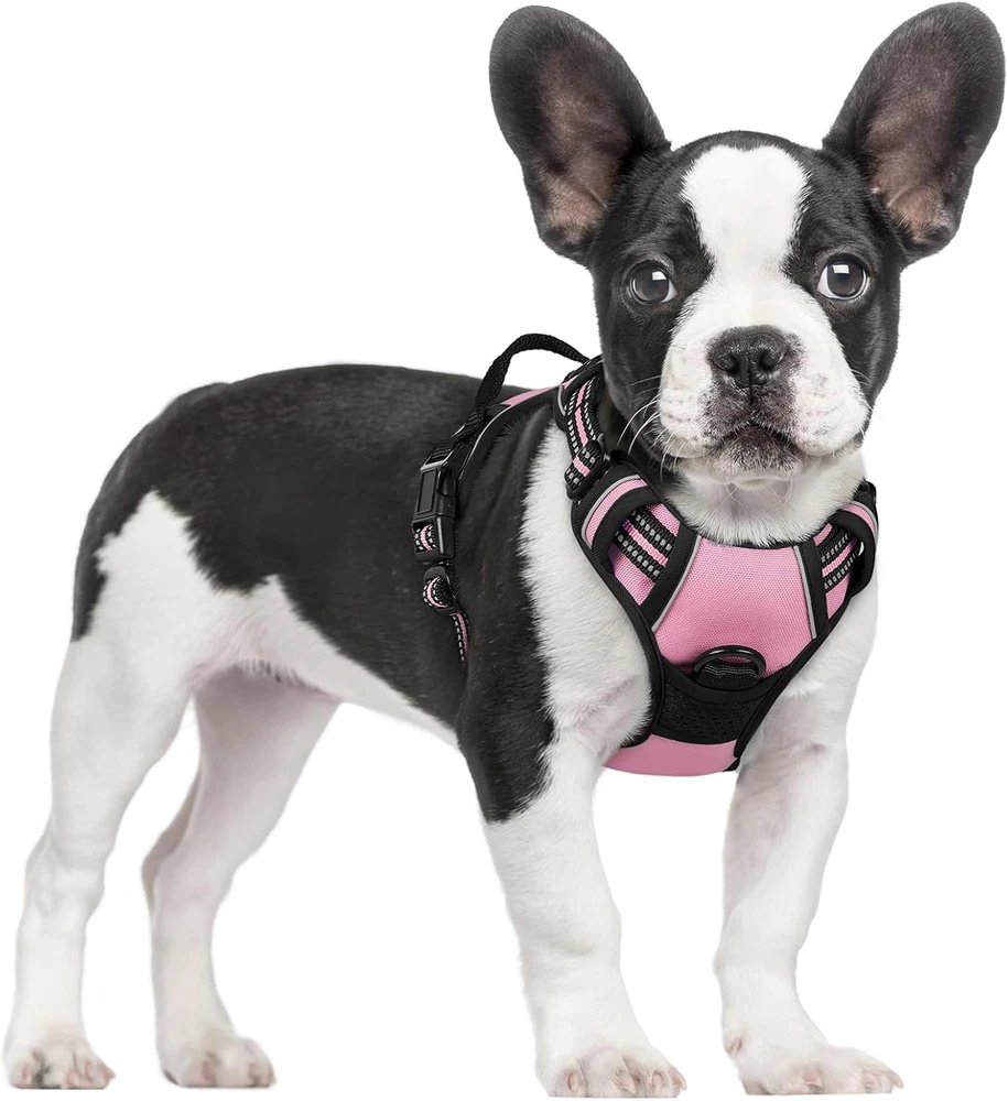Dog Harness No Pull with 2 Leash Clips, Adjustable Soft Padded, Reflective Oxfor