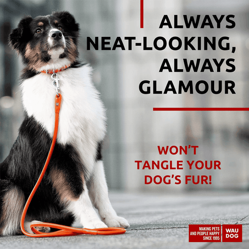 WAUDOG gerollte Leder Hundeleine 4 Fuß * 0,5 Zoll für kleine mittlere und große Hunde - Bild 2 von 6