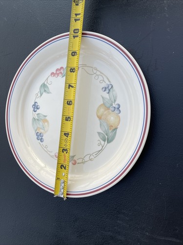 Corelle Corning Abundance Dinner Plates 10 1/2 Inch Plates. - Picture 7 of 7