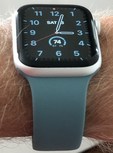 Apple Watch Sports Band 44mm Cactus S/M & M/L - 第 11/11 張圖片