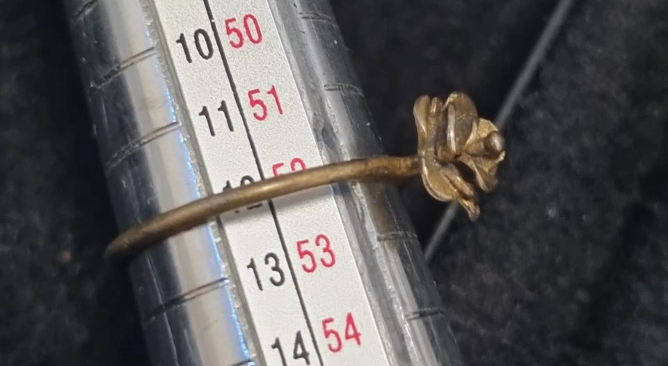 Designe  925 Silber Ring Rose Blüte 925