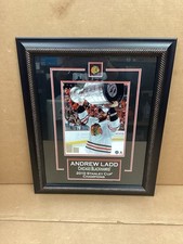 CHICAGO BLACKHAWKS ANDREW LADD SIGNED STANLEY CUP 13.5 X 17.5
