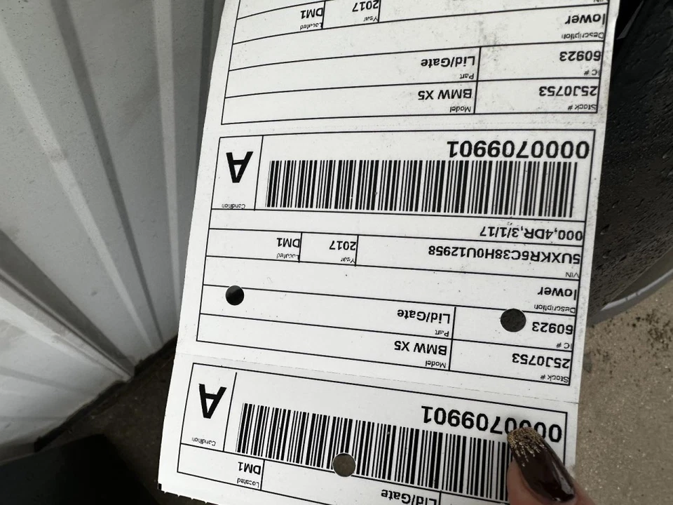 (SOLO RECOGIDA LOCAL) maletero/portón trasero inferior se adapta a BMW X5 2058770 14-18 Foto 2 de 4