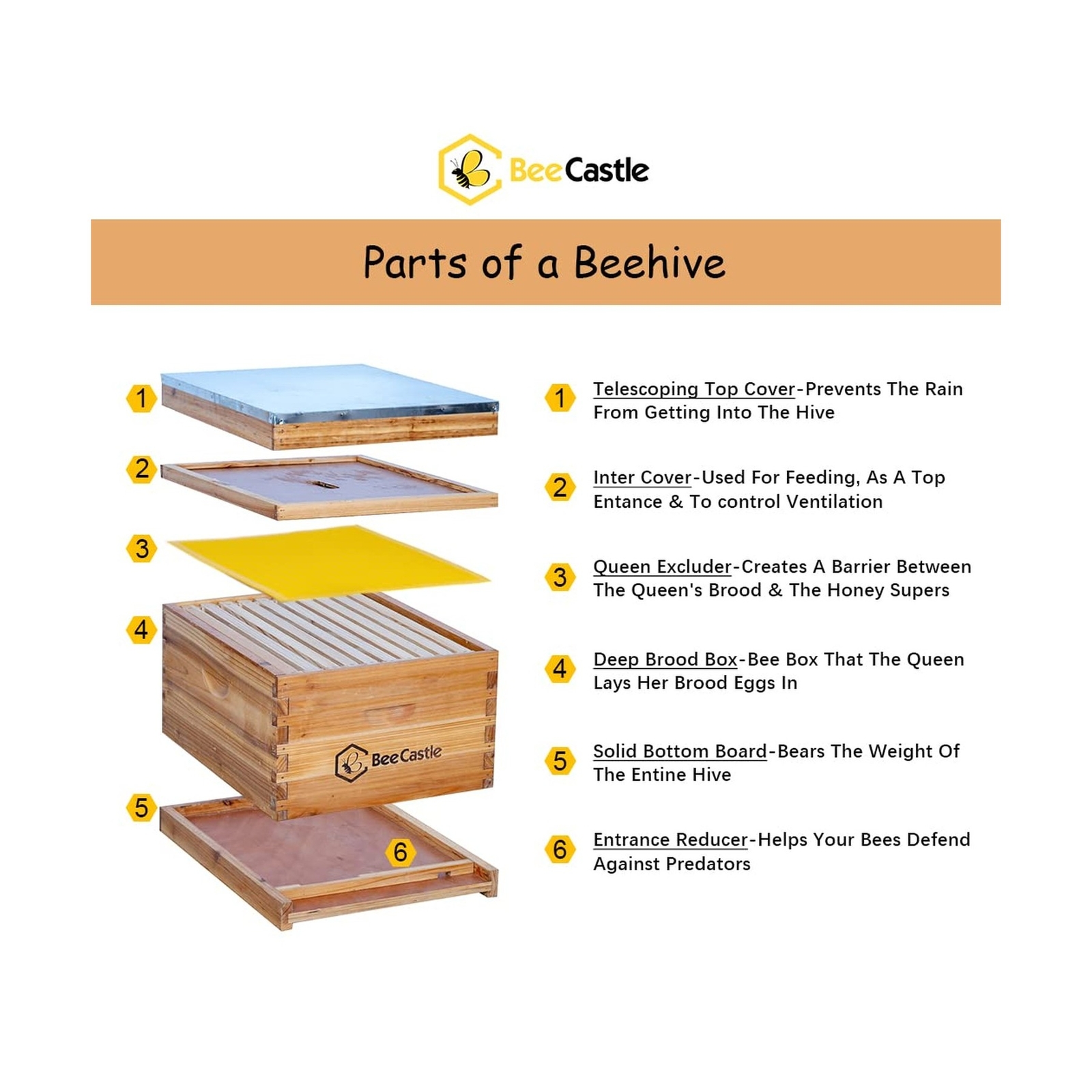 10-Frame Bee Hives and Supplies Starter Kit,Beehive Kit Dipped in 100% Beeswa...