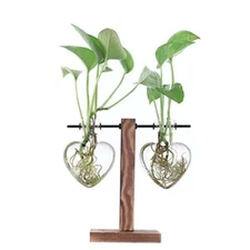 Glass Libra Hydroponics Planter Heart Shaped Hanging Vase w/ Wood Stand