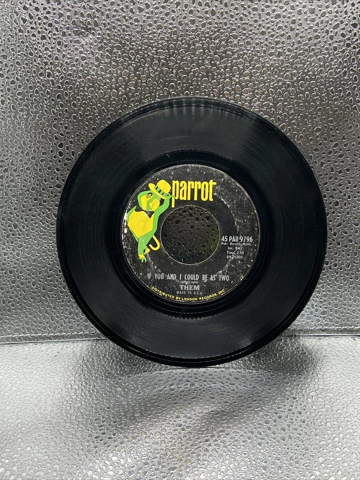 THEM / Van Morrison Mystic Eyes / If You And I Could Be As Two Vintage 45 PARROT Foto 2 de 2