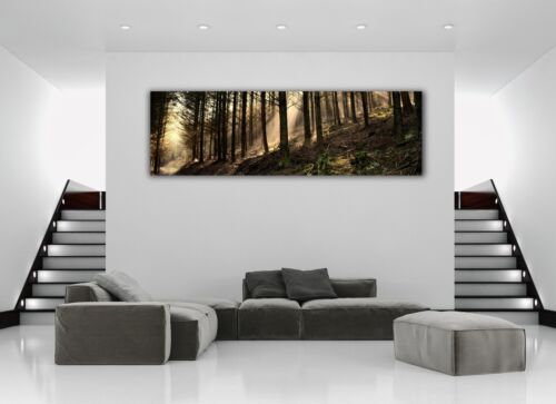 Morning Mist Forest Nature Panoramic Picture Canvas Print Home Decor Wall Art - Picture 3 of 6