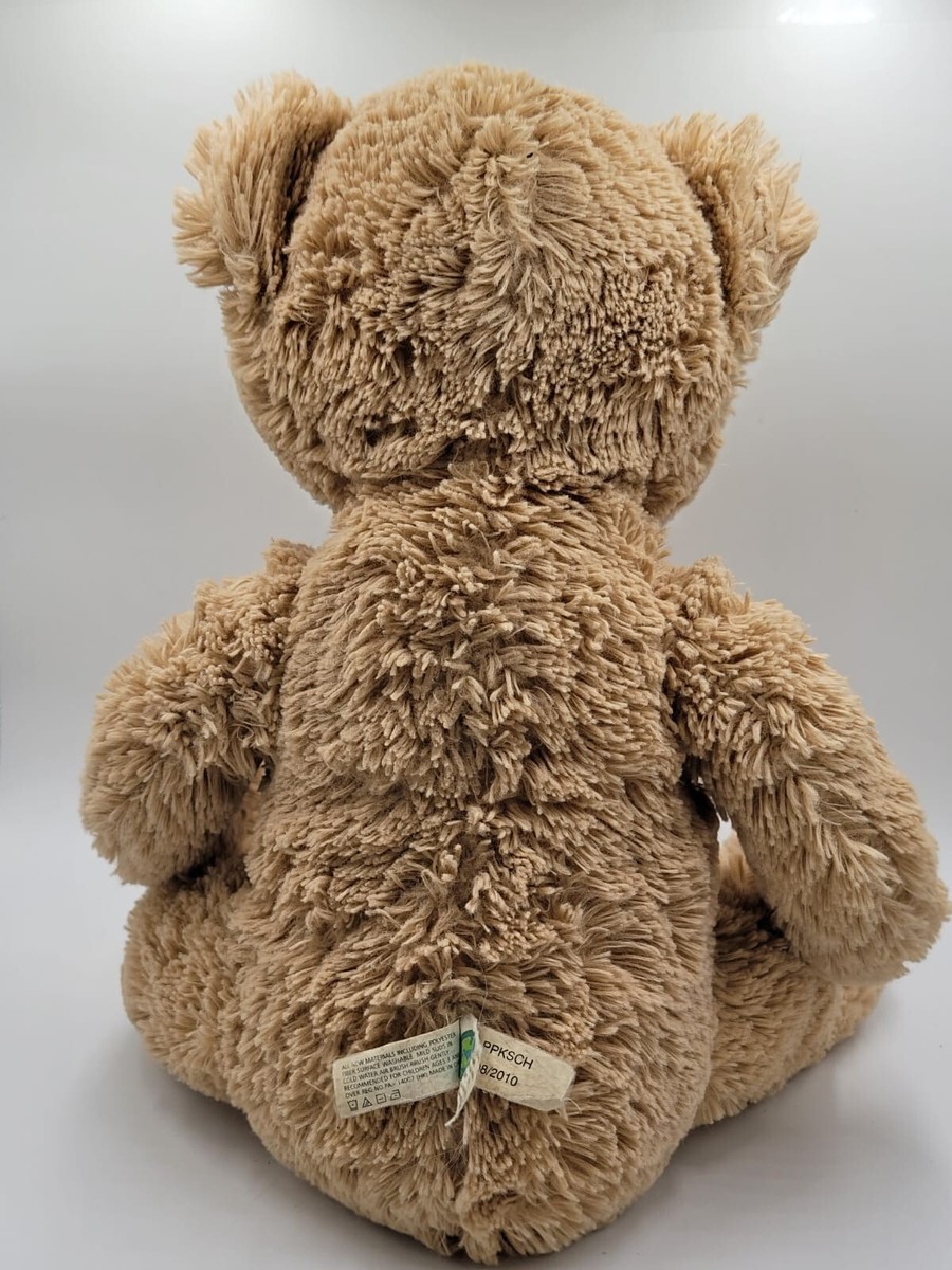 2010 Aeropostale Plush Teddy Bear Stuffed Animal 11