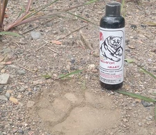 PREDATOR KILLER Bear Attractant