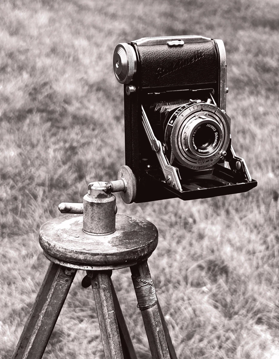 Balda Baldinette Vintage Folding Cameras for sale | eBay
