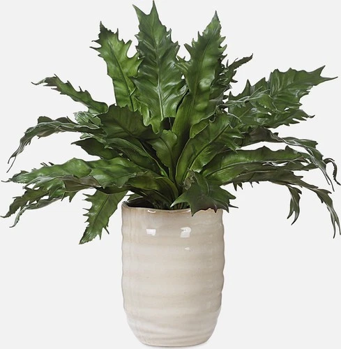 Uttermost 60229 Verdure Fern 16-1/4" Tall Ceramic Faux Flora - Beige - Picture 5 of 5
