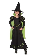 The Wizard of Oz Wicked Witch of the West Child Halloween Costume