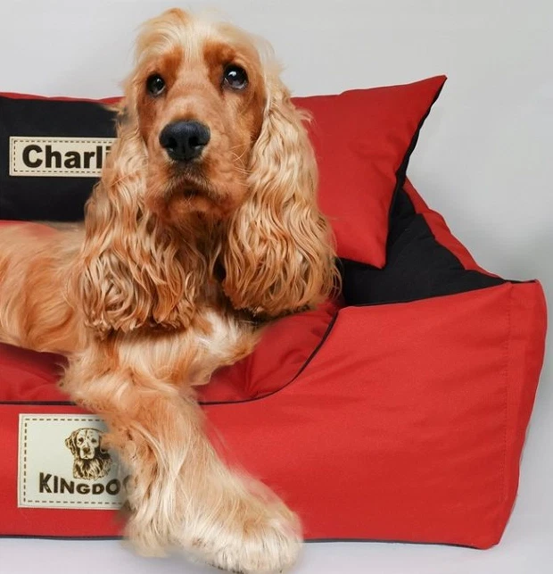 S-XL dog bed dog pillow pet bed Kingdog + with name dogs free shipping - Image 4 of 4