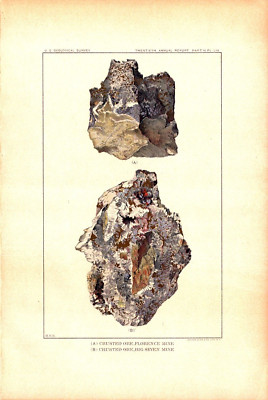 CRUSTED ORE, BIG SEVEN, FLORENCE MINE, NIEHART, MT. Antique geology print 1900