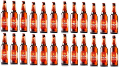 24  Estrella Damm Barcelona a 0,33 L 5,4 % vol. inc. MEHRWEG Pfand