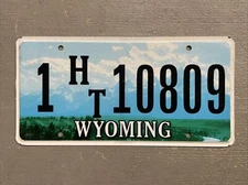 VINTAGE WYOMING LICENSE PLATE COLORFUL MOUNTAINS/RIVER RANDOM LETTERS/NUMBERS 🤠