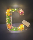 Resin Battery Operated Light Up Letter "C" with Dried Flowers  5" — photo 1