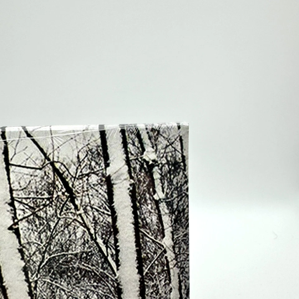 Emancipator- Soon It Will Be Cold Enough NEW sealed Nujabes Tycho Bonobo - Image 3 of 4