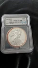 2013 W ICG PR69 DCAM American Silver Eagle
