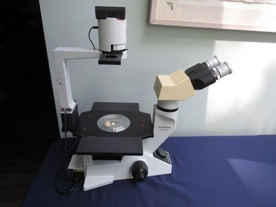 Olympus CKX41SF Inverted Phase Contrast Microscope With 4 Objectives, Eyepieces