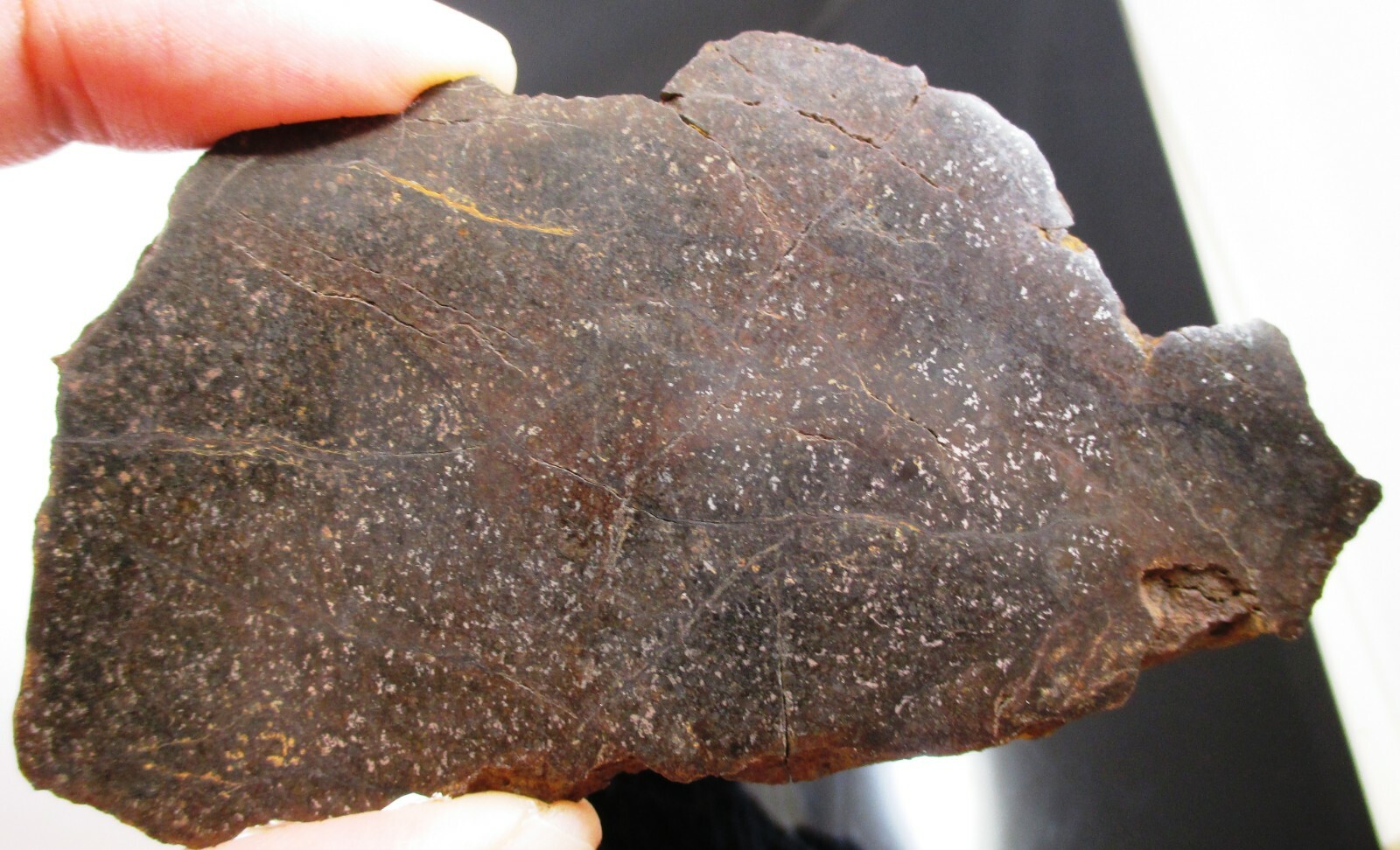 spicygem meteorite pot 2点 | www.tspea.org