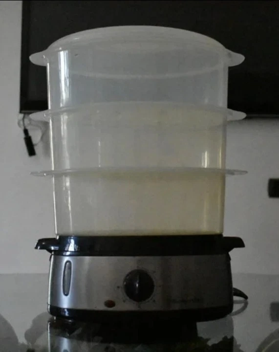 Vaporiera Russell Hobbs Cook@Home 9L 800W - Argento - Immagine 2 di 3