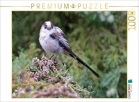 Calvendo Puzzle Schwanzmeise | 1000 Teile Lege-GrößE 64X48Cm Foto-Puzzle FüR Glü