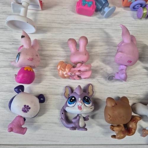 Hasbro LPS Littlest Pet Shop Figures Bundle Carry Storage Case & Accessories - Picture 16 of 18