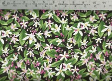 Timeless Treasures Lemon Blossoms Floral Black 100 Cotton Quilt Fabric BTY