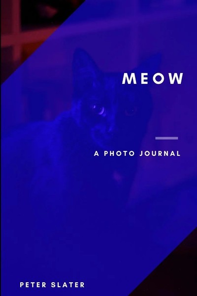 Meow | Peter Slater | Taschenbuch | Kartoniert / Broschiert | Englisch | 2019-image