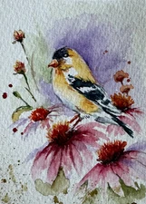 WbM Original Watercolor ACEO – Goldfinch on Coneflowers – Summer Bird – Signed