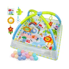 Dr.Rapeti Baby Play Gym Mat with Ball Pit Activity Gym Center Tummy... Fast Ship