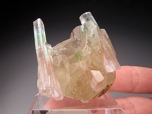 Elbaite Tourmaline Crystals on Quartz, Nuristan, Afghanistan - Picture 5 of 9