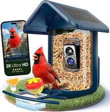 Bird Feeder with Camera Solar Powered - Smart Bird Feeder Camera 2K HD Live Stre