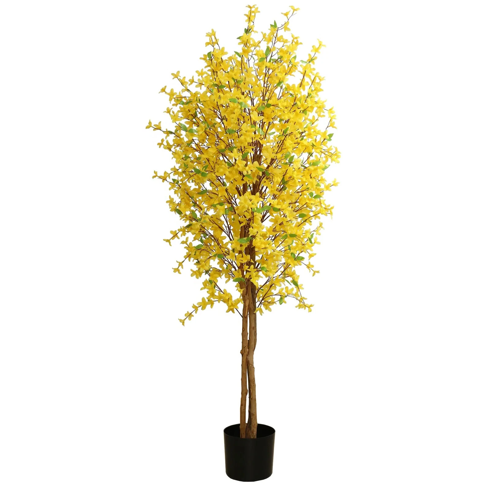 150cm Forsythia - 40798