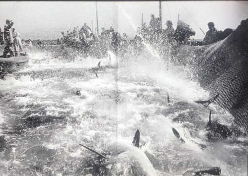 Sebastian Salgado “Trapani Sicily Italy” Photography 35mm Art Slide - Picture 2 of 3