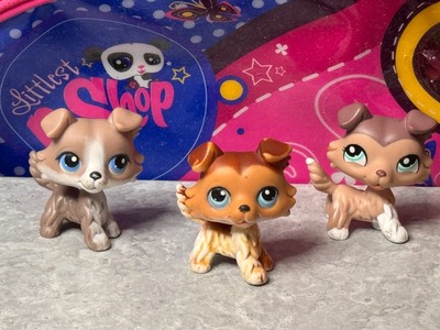 Figurine LPS Littlest PetShop Puzzle Variante Originale - Chien Colley Authentique HASBRO