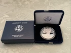 2008 AMERICAN SILVER EAGLE BULLION 1 OZ PROOF COIN ASE #5 $1 START NO RESERVE !!