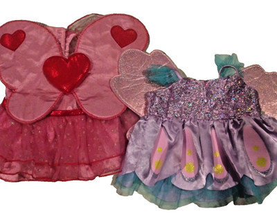 Build a Bear Workshop Fairy Costumes Lot 2 Butterfly Sparkle Pink Valentine BAB