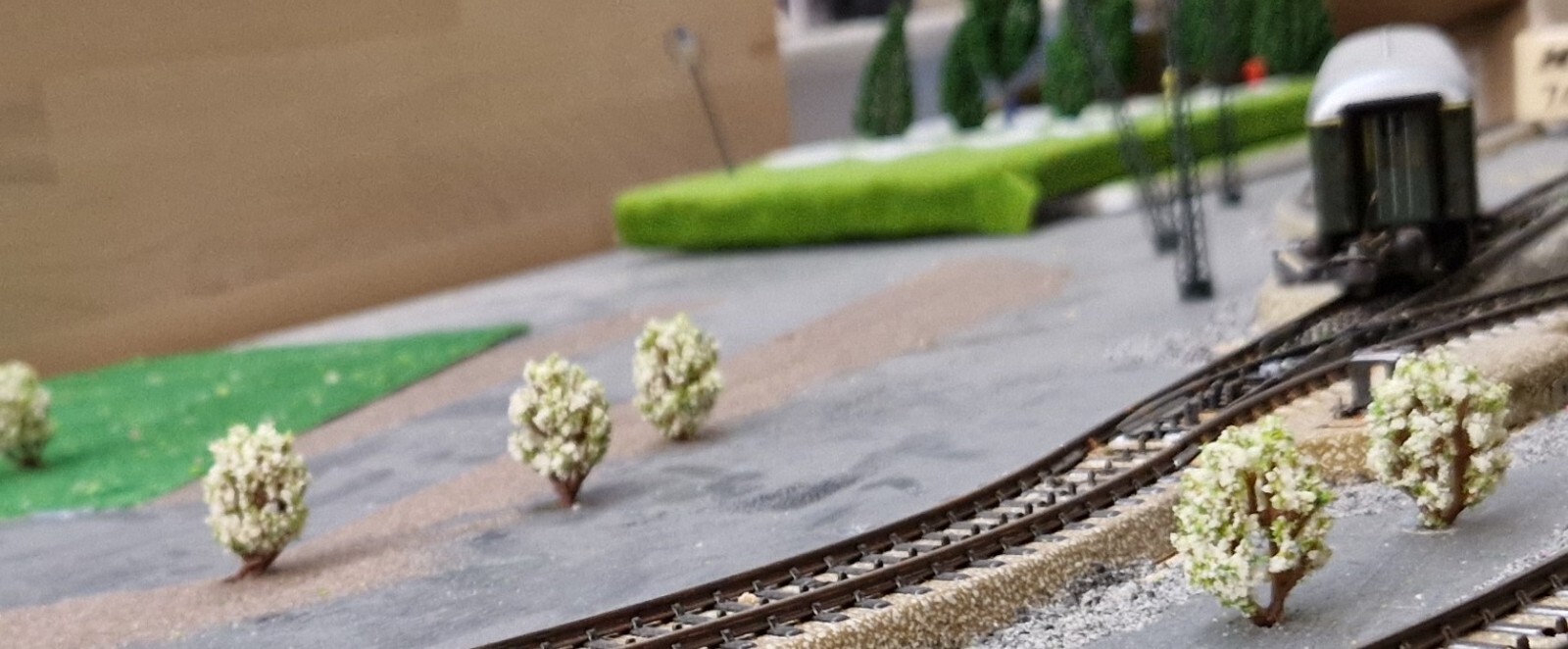 10 Gelb Blühende Büsche, Sträucher, 60 Mm Hoch, Leichte
