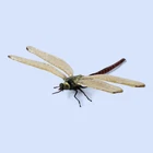 Vintage Murano Glass Dragonfly Sculpture Figurine Hand Blown Italian Art Glass
