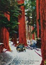 Road Rainier National Park Washington Classic Car Divided Back Vintage Postcard