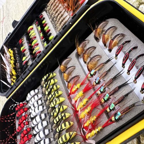 20-120Pcs Fly Fishing Flies Kit Bass Salmon Trouts Flies Dry/Wet Fishing Lures - Picture 1 of 19