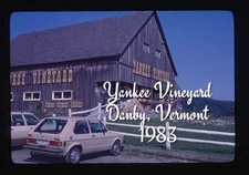 35mm slide Yankee Vineyard Danby, Vermont - 1983 (BB)