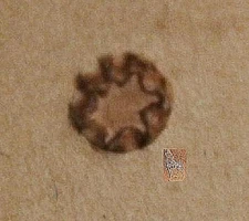 * Tandy Leather CRAFTOOL Stamping Tool - FIGURE CARVING - F989 or 6989-00