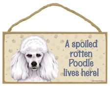 A Spoiled Rotten Poodle lives here  White Dog Sign 5"x10" USA Wood Plaque 121