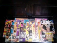 Pro Wrestling Ilustrated, 1994 Complete LOT OF 13 VG+ w/ Pinups - incl Winter Ed