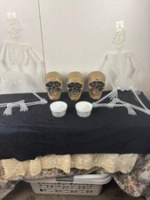 Halloween Skeleton Skull D cor Bundle Animated Heads Skeletons Spider Bowls